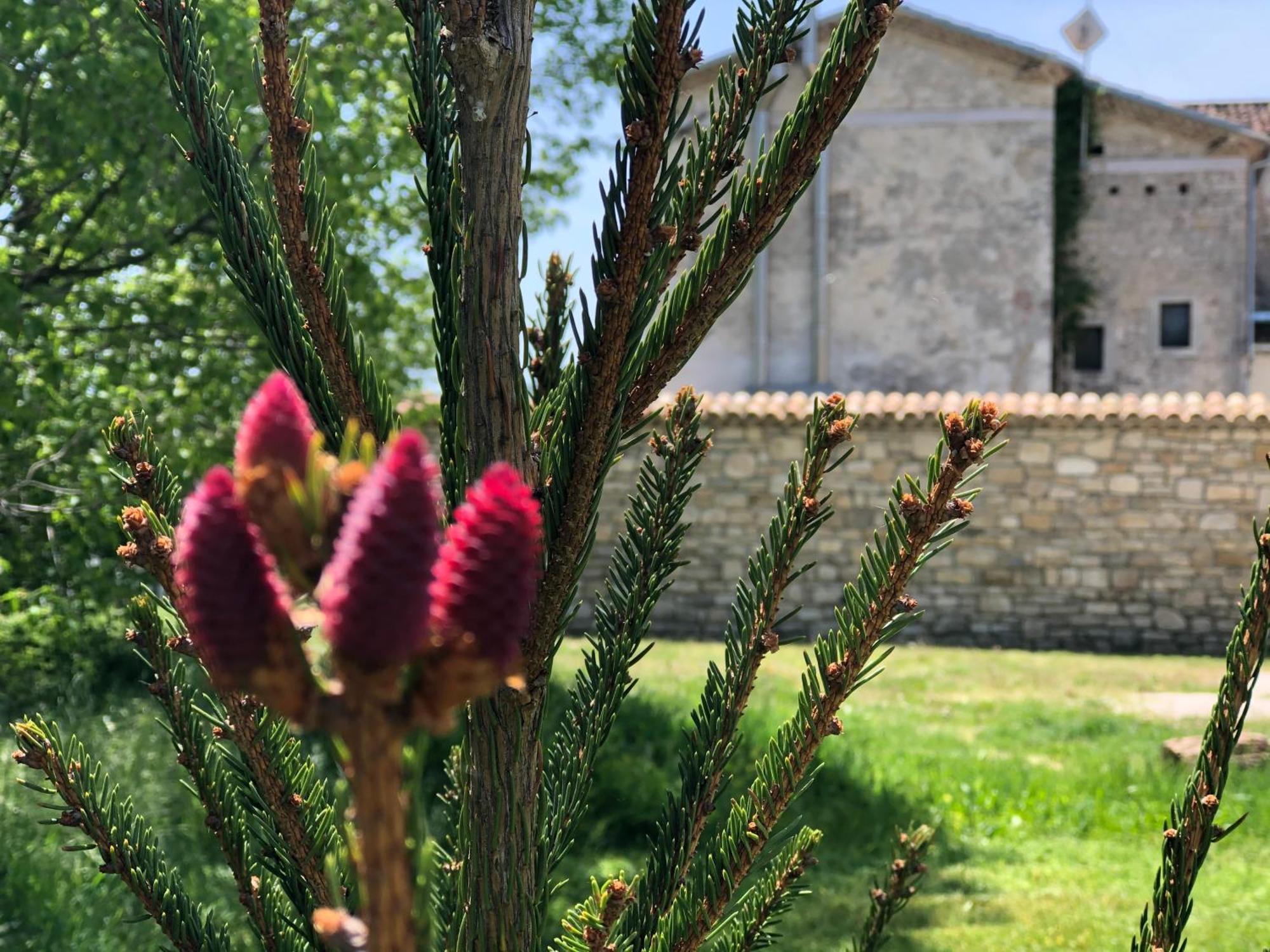 Antica Taverna Del Principe Sepino Kültér fotó